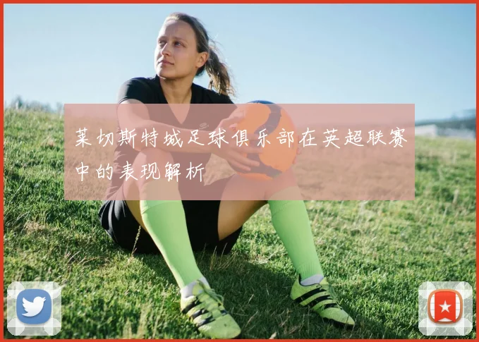 莱切斯特城足球俱乐部在英超联赛中的表现解析