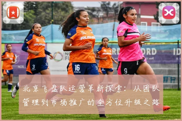 北京飞盘队运营革新探索：从团队管理到市场推广的全方位升级之路