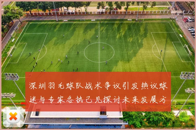 深圳羽毛球队战术争议引发热议球迷与专家各执己见探讨未来发展方向